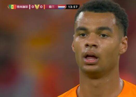 星空体育官网-世界杯球星撞脸！詹皇库兹马兼职 袁弘化身京多安